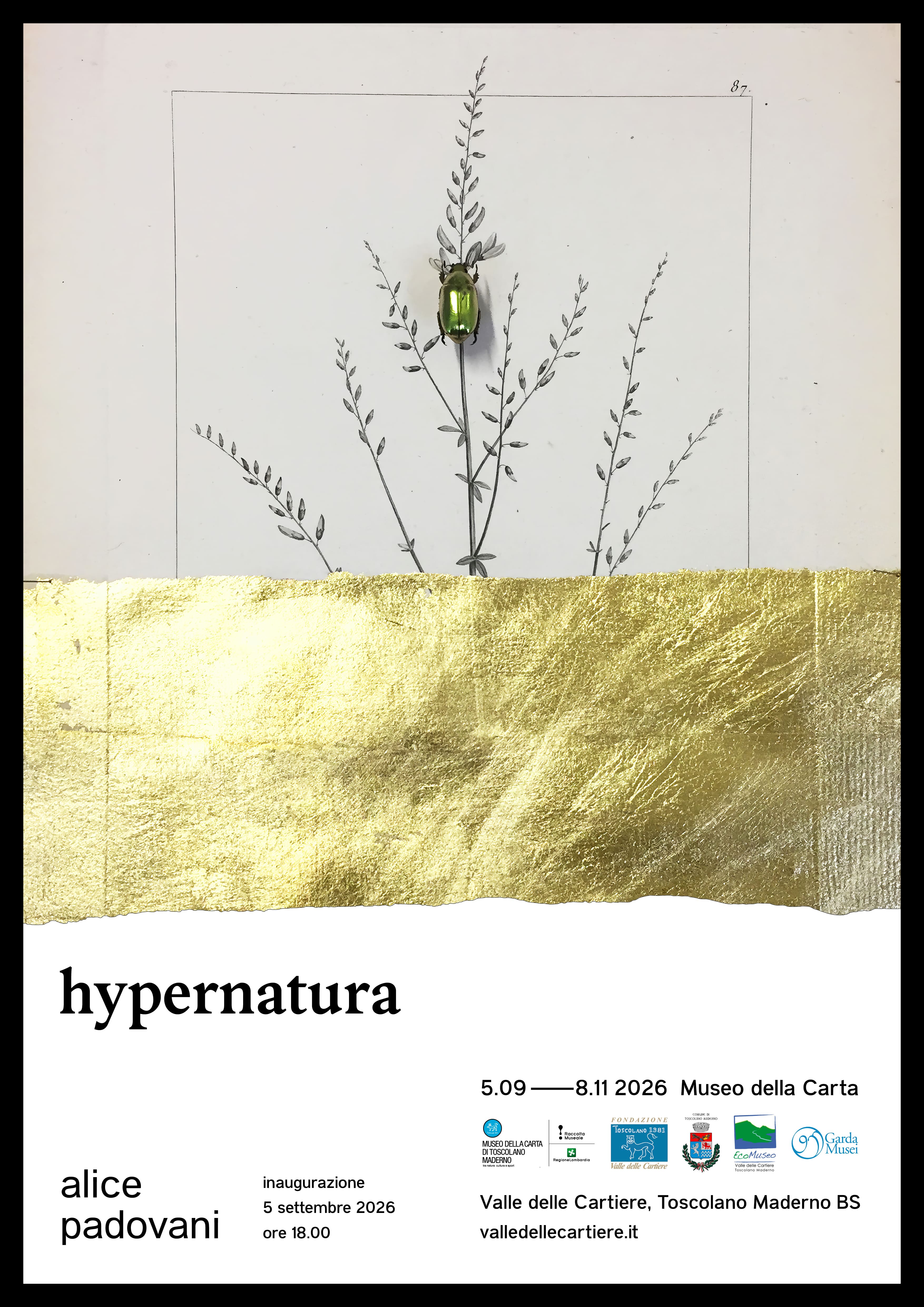 Mostra 